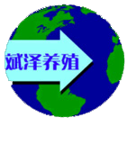微信公众号