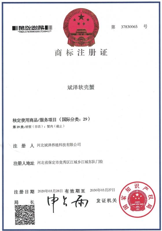 软壳蟹商标