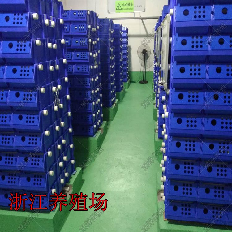 标准化繁育场
